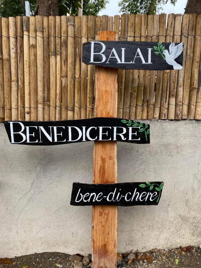 Balai Benedicere Bed & Breakfast Bacnotan Εξωτερικό φωτογραφία