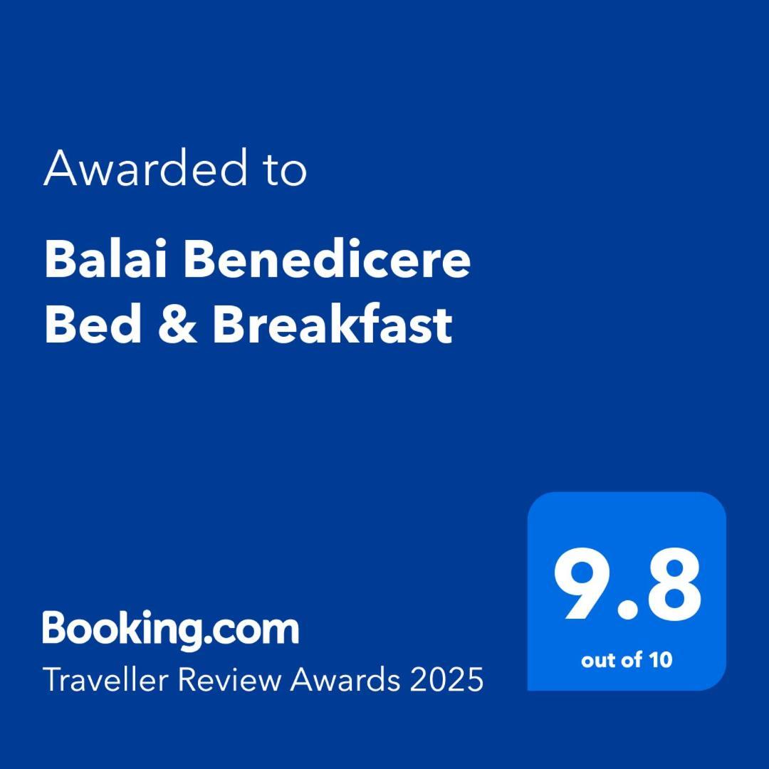 Balai Benedicere Bed & Breakfast Bacnotan Εξωτερικό φωτογραφία
